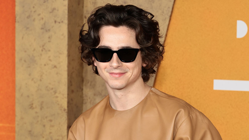 Timothée Dearest? Reports on Set of Dylan Biopic Paint Superstar as a Raging Diva