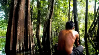 Well-Preserved Amazon Rainforest on Indigenous Lands Can Protect People From Diseases, Study Finds