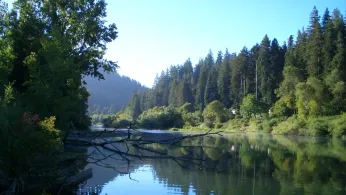 Guerneville’s Russian River: A Timeless Sanctuary for the Queer Community Thrives in Northern California