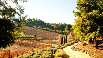 Healdsburg Rising: Sonoma County’s Unsung Queer Sanctuary